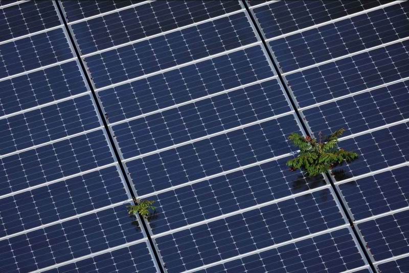 1678167689610100.jpg QQ截图20230307122724.jpg