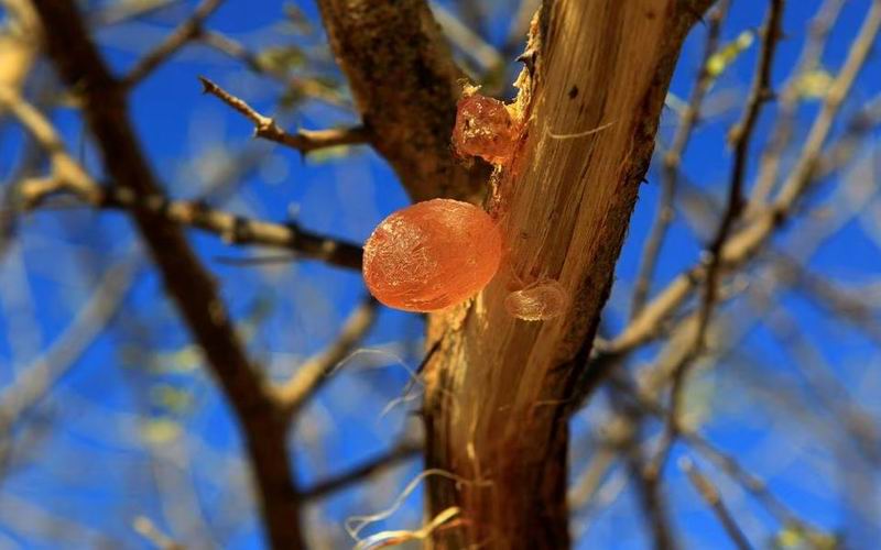 1682671269165053.jpg QQ截图20230428163953.jpg